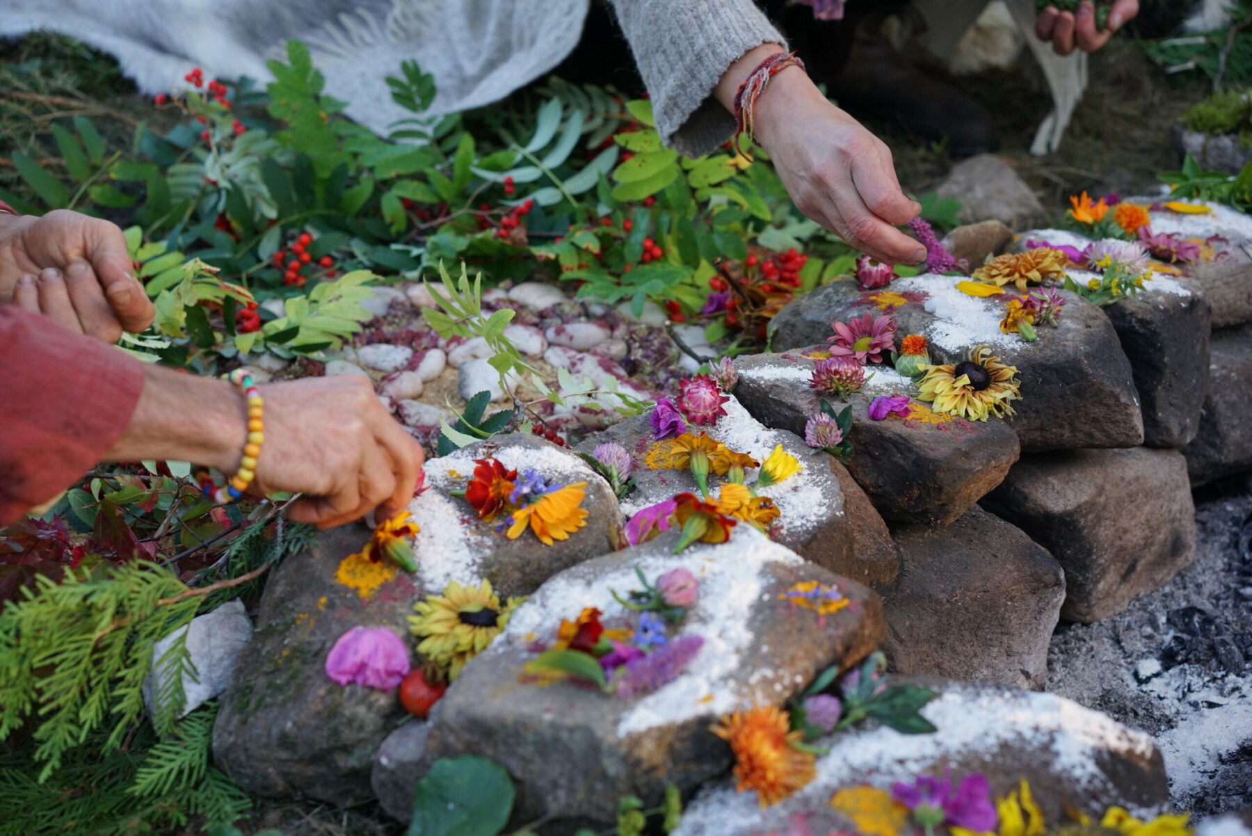 SATYA One-Year Foundation<br><span>The Core Discipline of Functional Presence</span>